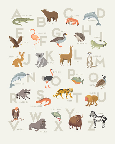 Modern animal alphabet poster design. Soft colors for wall art, prints, decor. Vector Illustration.