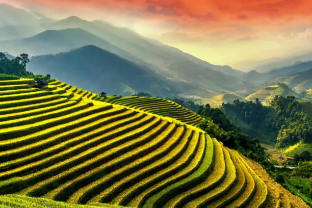 Photo of Beautiful rice field with hills, mountains and calm orange sky in beautiful sunrise.