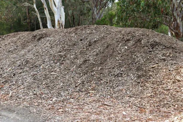 large pile of woodchips in bushland forest