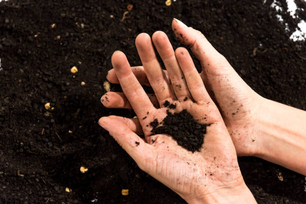 istock manos con tierra, home gardening concept 1390004451