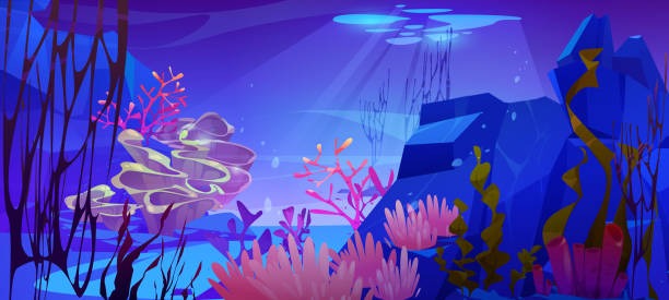 unterwasserszene des meeres mit korallen und algen - spirulina pacifica illustrations stock-grafiken, -clipart, -cartoons und -symbole