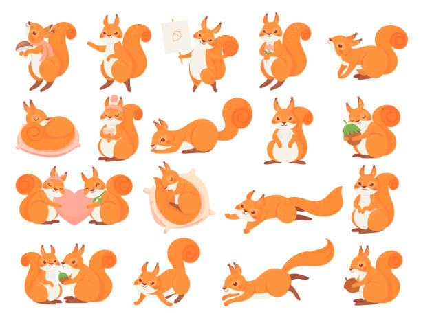 cartoon eichhörnchen sammlung posiert, glücklich und liebe - eichhörnchen stock-grafiken, -clipart, -cartoons und -symbole