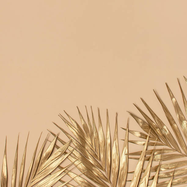 istock Gold colored tropical palm leaves on beige background flat lay top view copy space. Creative summer background with tropical leaves. Golden background, minimal nature concept 1390012858