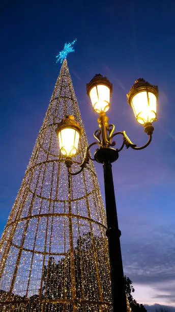 Modern lighting Christmas tree at dusk, old-fashioned street light, Lugo city, Galicia, Spain. Close-up low angle view.