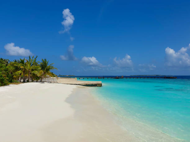 istock Bungalow in the Maldives 1390017295