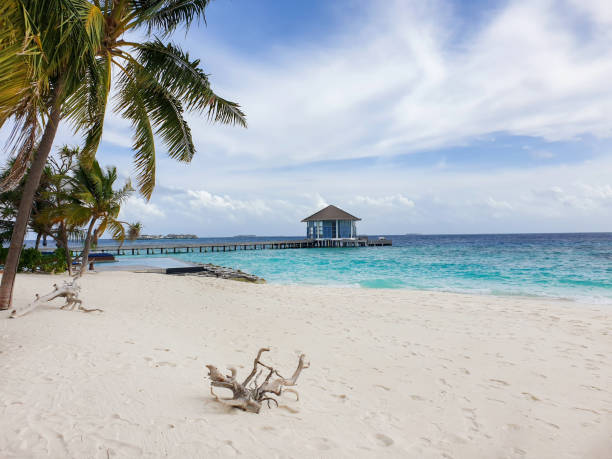istock Bungalow in the Maldives 1390017341