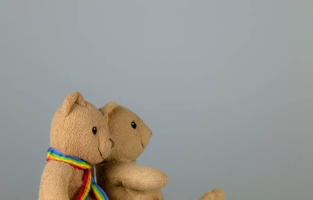 Gay couple bear toys sitting against white background