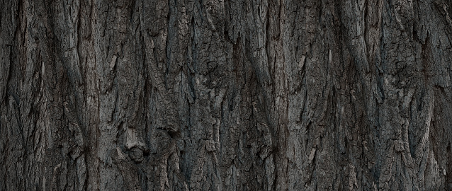 dark coarse wooden bark pattern for background