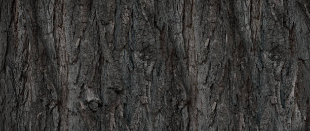 Photo of dark coarse wooden bark pattern for background