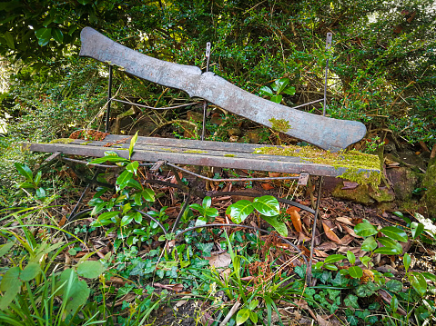 old wooden bench in need of repair and almost overgrown in an abandoned garden