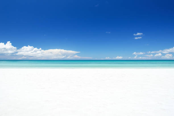 Tropical white beach and turquoise sea with clear sky background