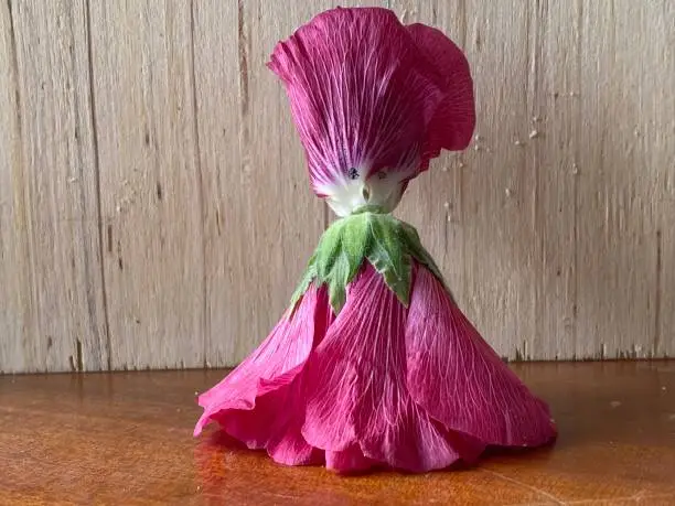 Photo of Photo of hollyhock flower doll