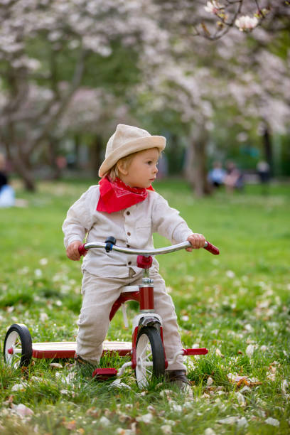 istock Child, boy in spring park with blooming magnolia trees 1390033891