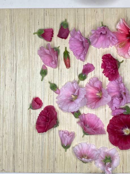 istock Hollyhock flowers and buds on wood table 1390035194