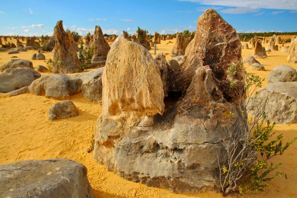 istock Pinnacles Desert in Western Australia 1390036610