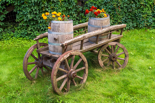 wooden barrels with blooming flowers on an old cart. High quality photo