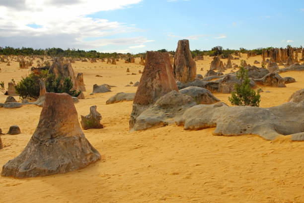 istock Pinnacles Desert in Western Australia 1390036635
