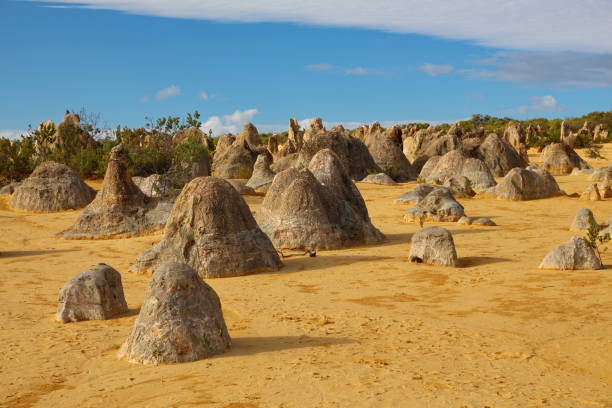 pinnacles desert in western australia - nambung national park imagens e fotografias de stock