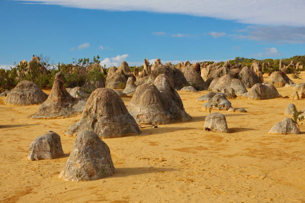 пустыня пиннакнакс в западной австралии - australia desert pinnacle stone стоковые фото и изображения