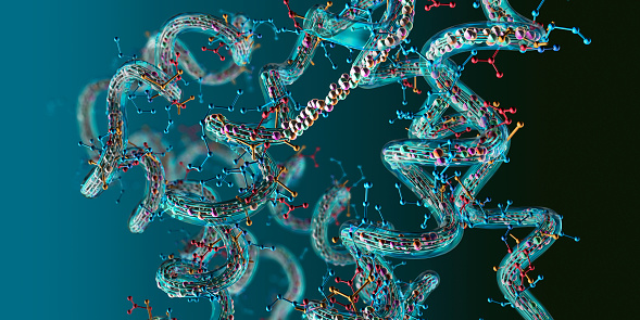 Cadena de aminoácidos o moléculas bio llamadas proteína - ilustración 3D photo