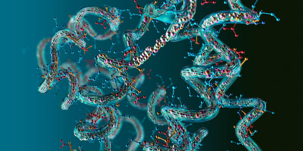 cadena de aminoácidos o moléculas bio llamadas proteína - ilustración 3d - proteína fotografías e imágenes de stock