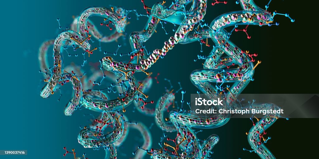 Chain of amino acid or bio molecules called protein - 3d illustration Protein Stock Photo