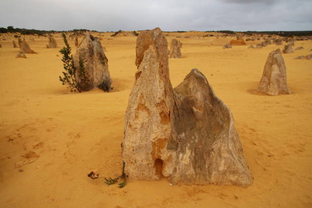 istock Pinnacles Desert in Western Australia 1390037557