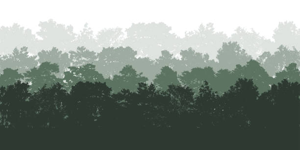 illustrations, cliparts, dessins animés et icônes de fond de forêt de feuillus, nature, beau paysage. silhouettes de différents arbres à feuillage. illustration vectorielle - arbre à feuilles caduques