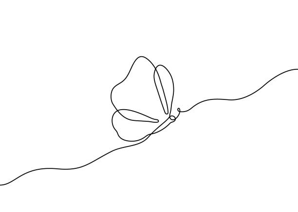 나비 플라이, 하나의 연속 선 도면. 간단한 추상 윤곽 아름다운 나비. 벡터 일러스트레이션 - fly line art insect drawing stock illustrations