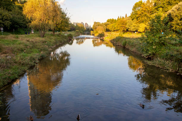 istock Autumn in Yangjechun, Seoul 1390040257