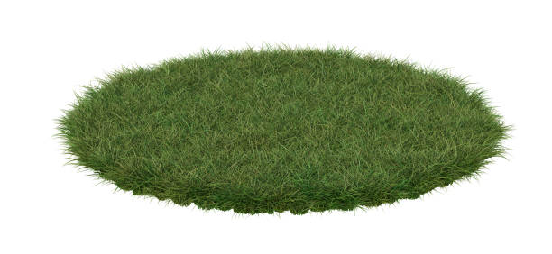 istock A round patch of grass, isolated on white background. 1390045141