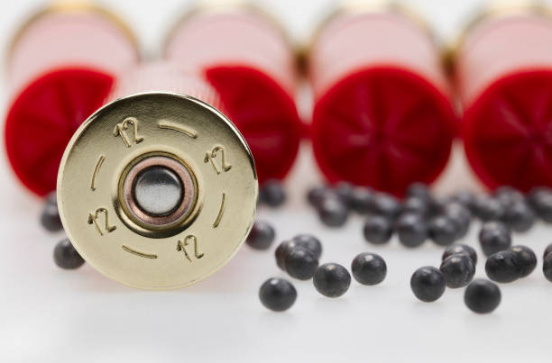Shotgun shell ammunition and lead pellets on white background , gun and shooting game