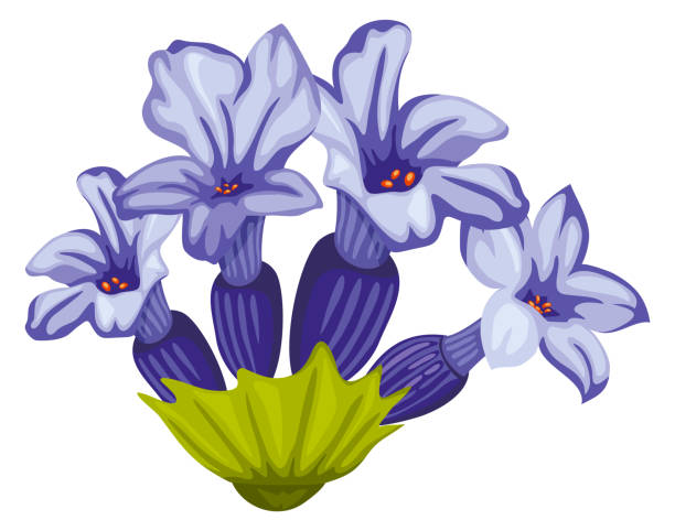 istock Lavender flower. Medical and cosmetic herb. Blue blossom 1390048373