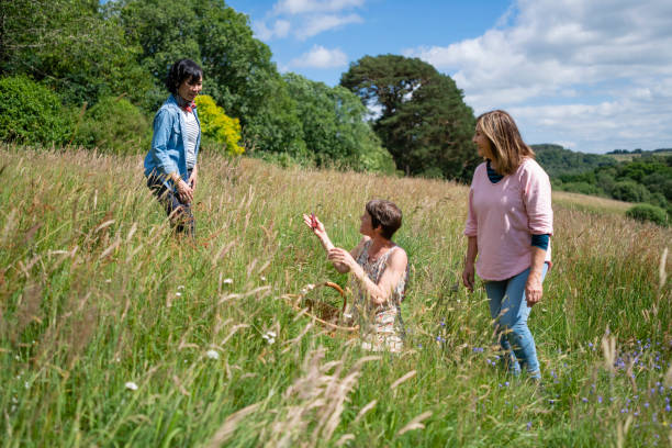 istock Foraging for Edible Flowers 1390051405