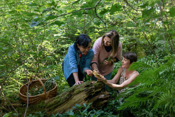 istock Senior Women Mushroom Hunting 1390051523