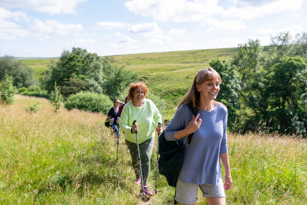 Walking Along the Sunny Trail