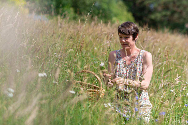 istock Collecting Flowers for a Tea 1390052673