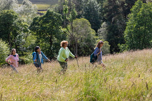 Side view of senior women hiking together in Northumberland in a wilderness area talking and enjoying the summer. They are walking through long Timothy grass.