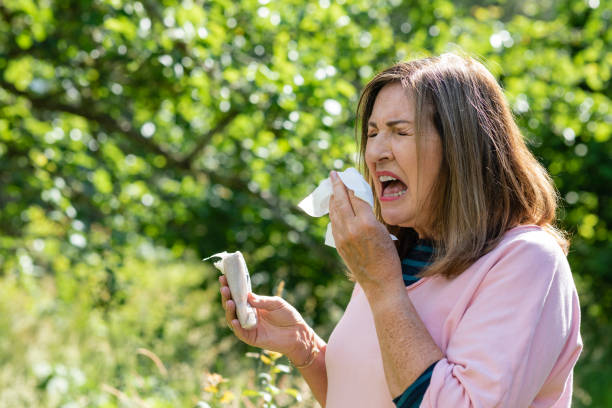 Sneezing with Allergies Woman sneezing into a tissue while hiking in Northumberland in a wilderness area in summer. She is having allergy issues. hayfever stock pictures, royalty-free photos & images