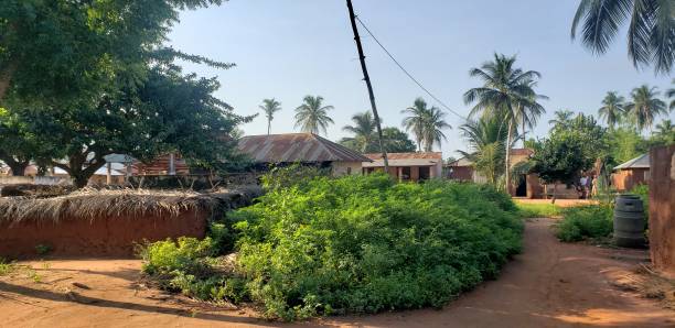istock Old Village house 1390058017