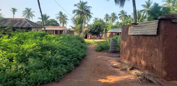 istock Old Village house 1390058164