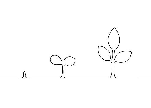 Growth plant stage contour silhouette, one continuous line drawing. Step of tree growth. Emergence of new, development and formation. Simple abstract outline. Vector