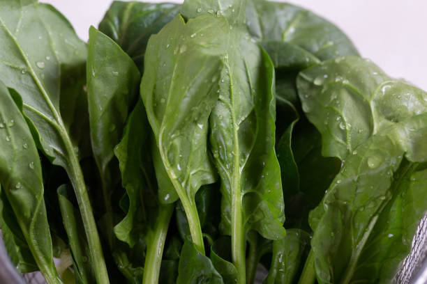 istock Spinach is the main ingredient in a green cocktail detoxification. 1390060573