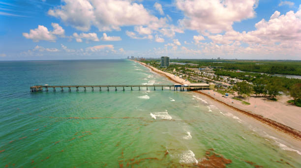 istock Dania Beach Pier over sea 1390061278