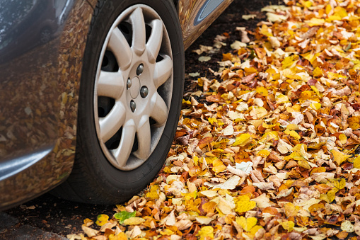 Car wheel and fallen leaves.