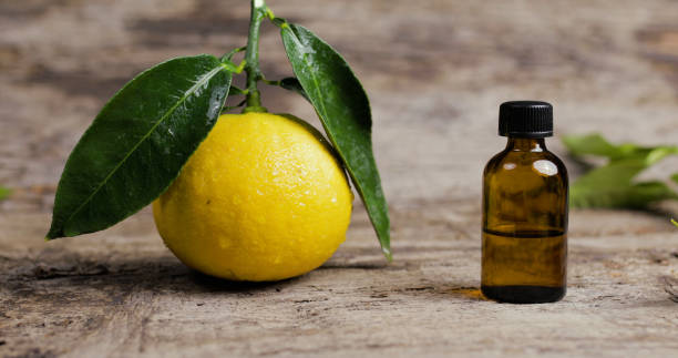 istock Basket full of Bergamot orange tree on the table 1390064682