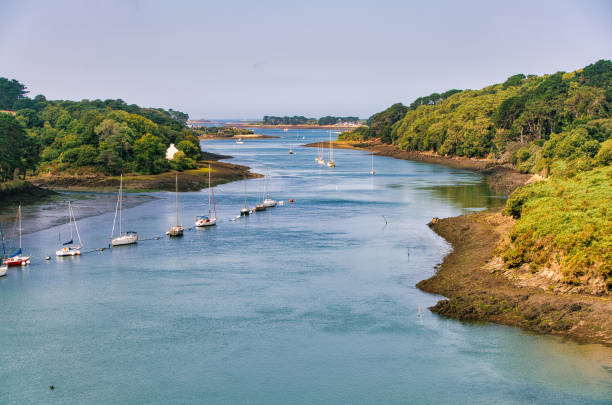 Looking at sailing ships anchored in a row in order to be able to sail out of the river into the open sea at high tide.