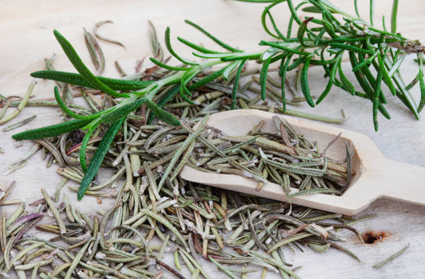 rosemary flavours organic dried rosemary with wooden scoop on neutral colored background rosemary dry spice herbal medicine stock pictures, royalty-free photos & images