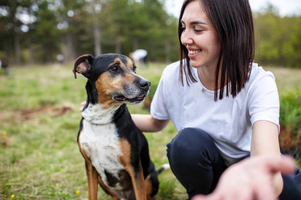 istock Woman playing with dog while planting cypress tree 1390071590