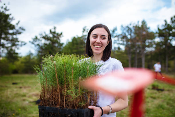istock Woman carrying a bunch of pine tree plants 1390071612